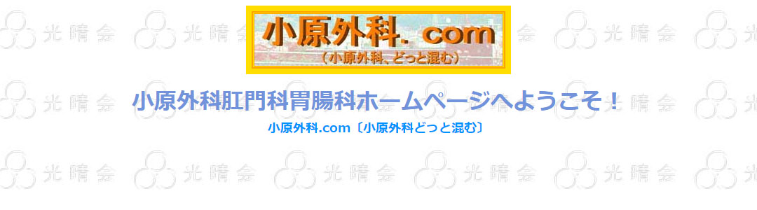 小原外科・肛門科・胃腸科のスクショ