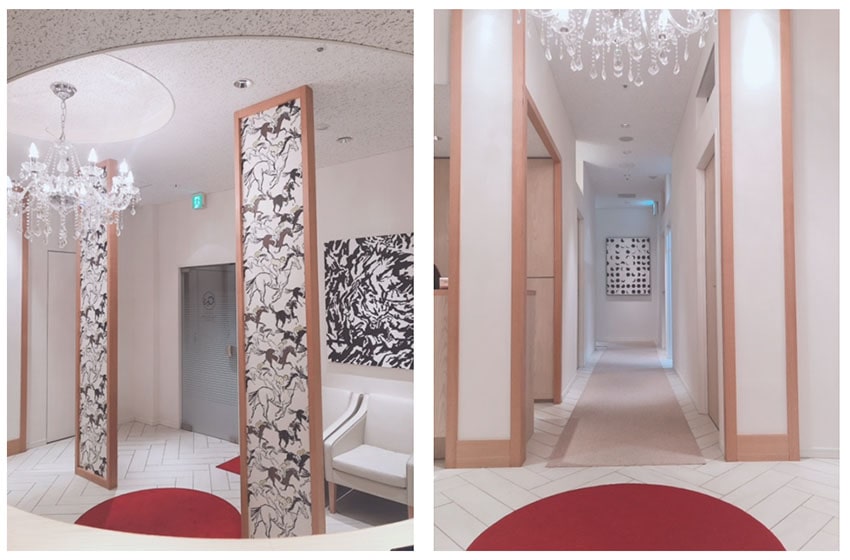 銀座長澤クリニックの内装と入口